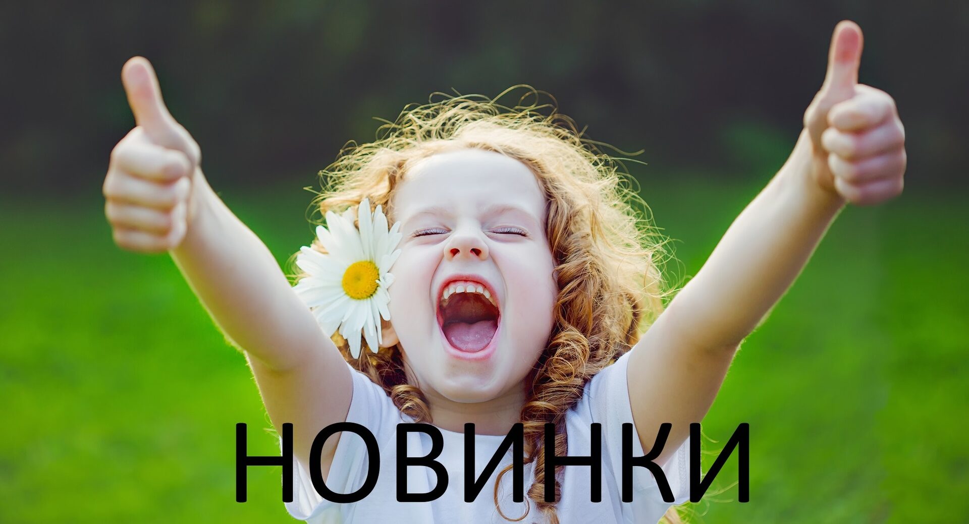 А мы с новинками! Марка KOMAN.