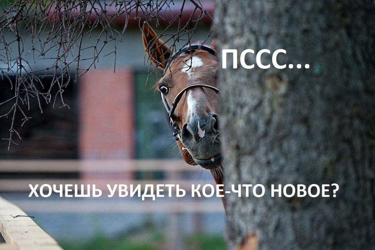 Новое в разделе деревообработки Новое в разделе деревообработки