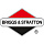 Briggs&Stratton